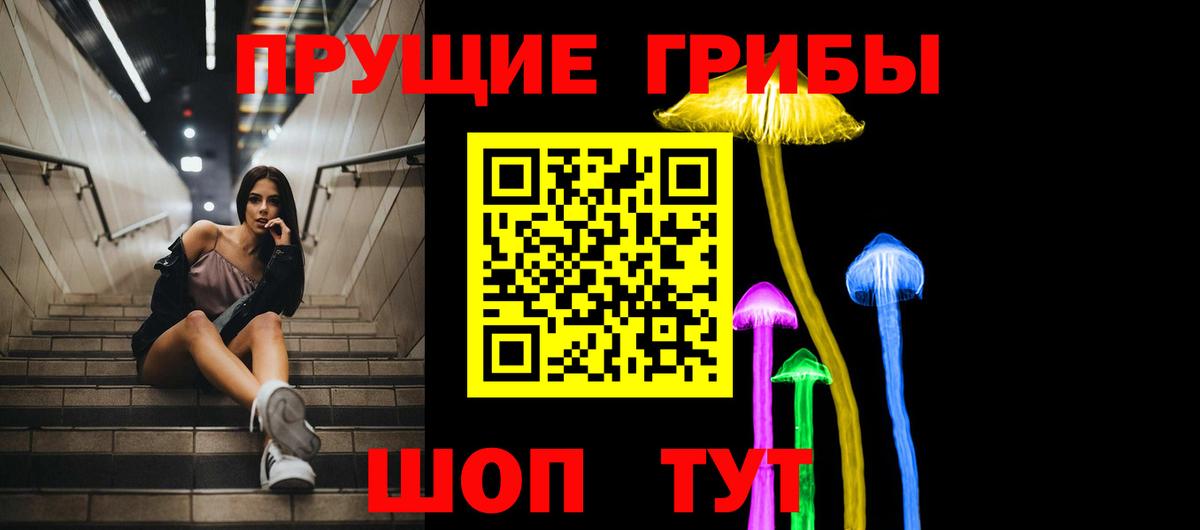 Щёлково  Галлюциногенные грибы Cubensis  Галлюциногенные грибы MAGIC MUSHROOMS  Вход с VPN 